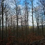 Stilvoll Uebernachten In