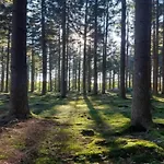 Stilvoll Uebernachten In Sonneberg