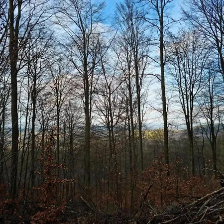 Stilvoll Uebernachten In