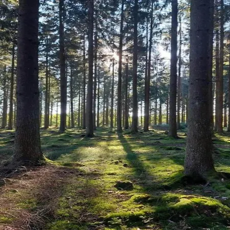 Stilvoll Uebernachten In Sonneberg