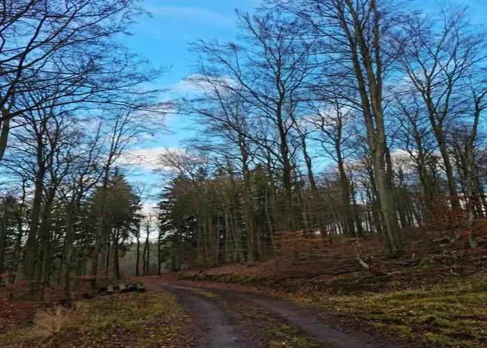 Stilvoll Uebernachten In * Sonneberg