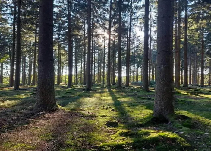 Stilvoll Uebernachten In Sonneberg